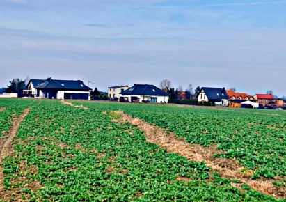 działka na sprzedaż - Gierałtowice, Chudów